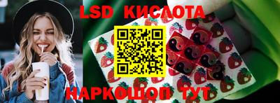 дживик Кимры