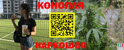 дживик Кимры