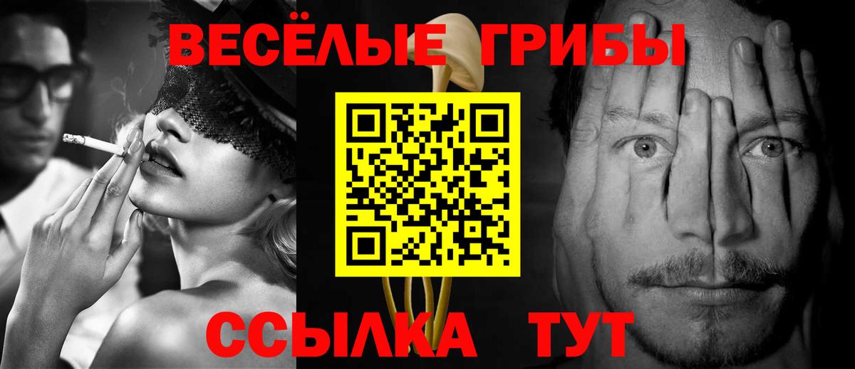 Галлюциногенные грибы ЛСД Кандалакша
