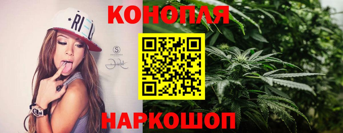 Бошки марихуана ГИДРОПОН  Канабис конопля  Кандалакша  Вход с VPN  Марихуана семена 